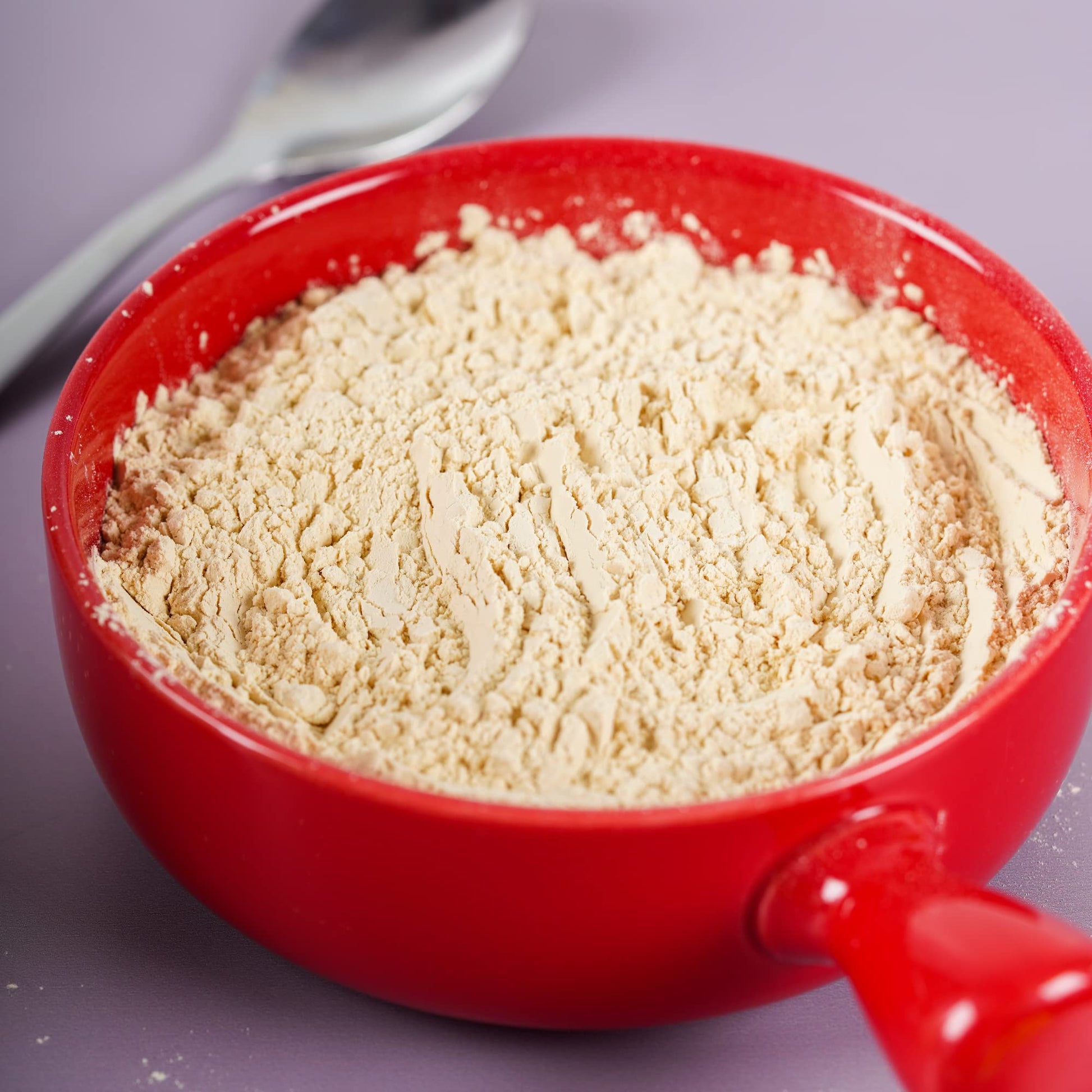 Urban Platter Pure Pea Protein Powder, 500g- image 5