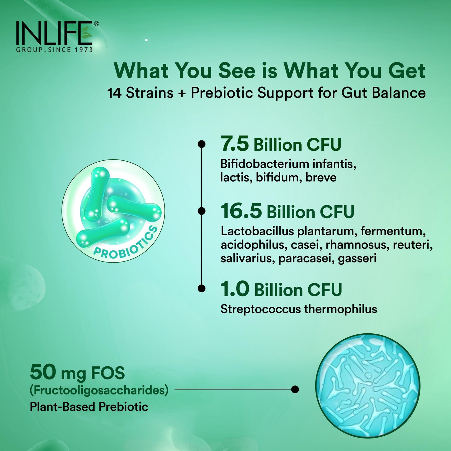 INLIFE Probiotics Forte 25 Billion CFU, 14 Strains with Lactobacillus Reuteri, Gut Digestive & Immune Health, Men Women, 60 Veg Capsules (Pack of 2)
