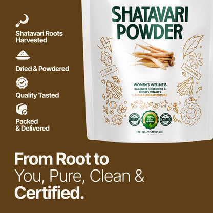 MYHERB 100% Natural Organic Shatavari Powder (Asparagus racemosus) || 227 Gm/0.5 Lbs || Promotes Vitality and Strength || For Men & Women
