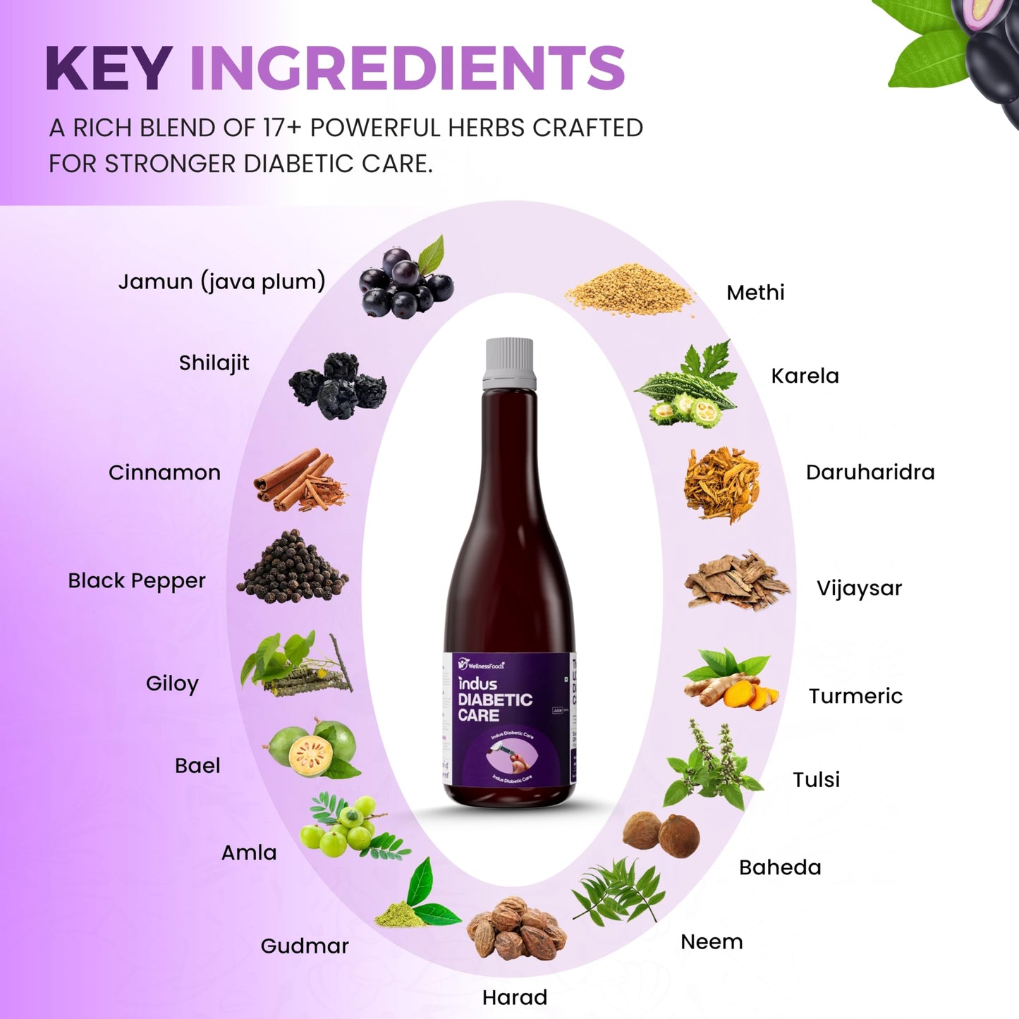 Indus Diabetic Care Juice 500ML | Ayurvedic Diabetes Support | Helps Maintain Healthy Sugar Levels | Reduces Cravings | Boosts Metabolism & Energy | 100% Herbal | No Added Sugar