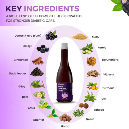Indus Diabetic Care Juice 500ML | Ayurvedic Diabetes Support | Helps Maintain Healthy Sugar Levels | Reduces Cravings | Boosts Metabolism & Energy | 100% Herbal | No Added Sugar