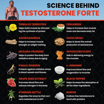 Healeo Testo Forte, 12-in-1 Testosterone Booster for Men with Tribulus, Safed Musli, Panax Ginseng, L-Arginine - Enhances Stamina, Muscle Strength & Power - Lab Tested - 60 Veg Tablets