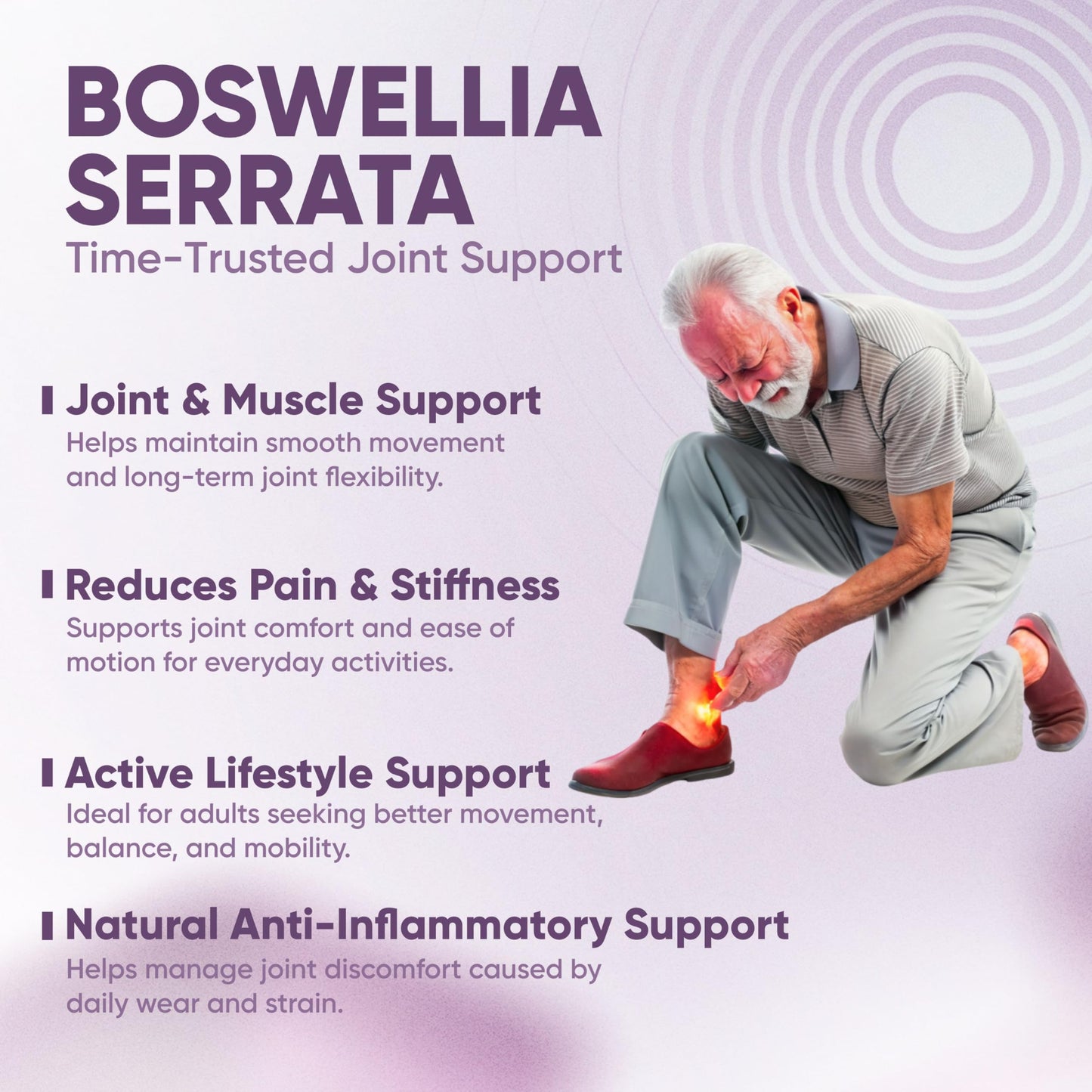 Vitaminnica Boswellia Serrata 2500mg (5:1 Extract) – Premium Herbal Joint Support Supplement, Supports Mobility & Comfort, Vegetarian Capsules, Non-GMO, 60 Count