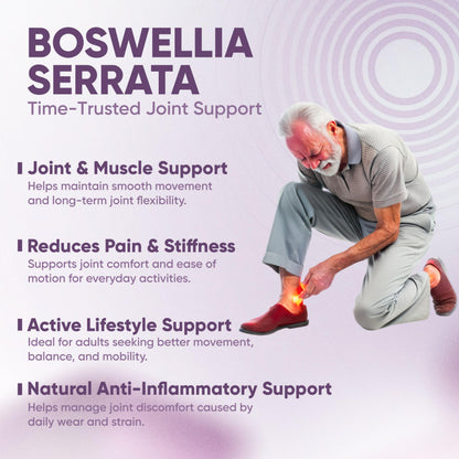 Vitaminnica Boswellia Serrata 2500mg (5:1 Extract) – Premium Herbal Joint Support Supplement, Supports Mobility & Comfort, Vegetarian Capsules, Non-GMO, 60 Count