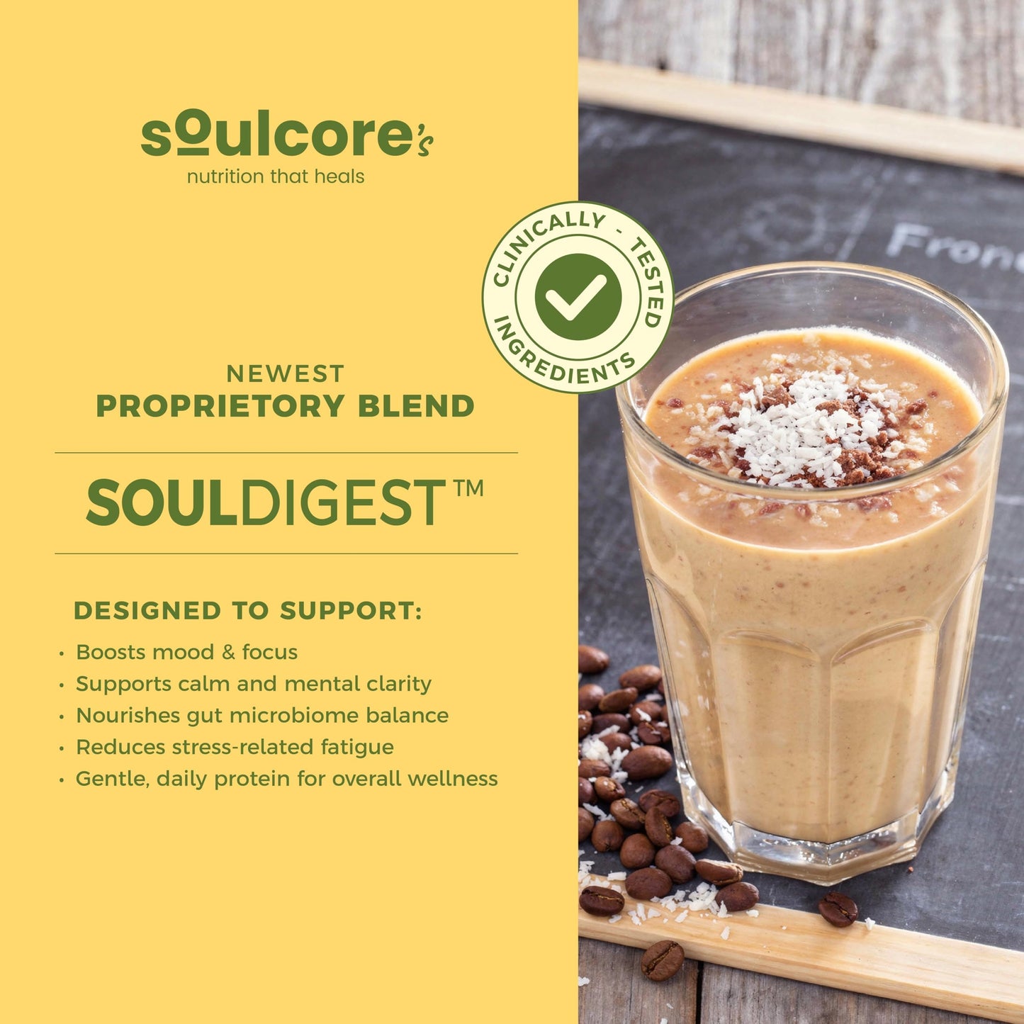 Soulcore Plant Protein Espresso | 25g Clean Plant-Based Protein | Souldigest Blend | Sugar-Free | Single Sachet (41g) (Pack of 3)