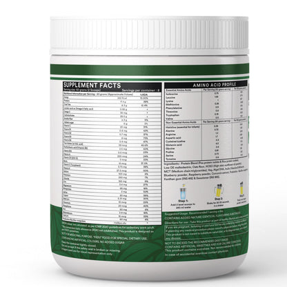 INLIFE Plant Based Meal Replacement Shake | Plant Protein Powder (17.5g Protein), Lactose Free | Added Probiotics, 500g (Mango)