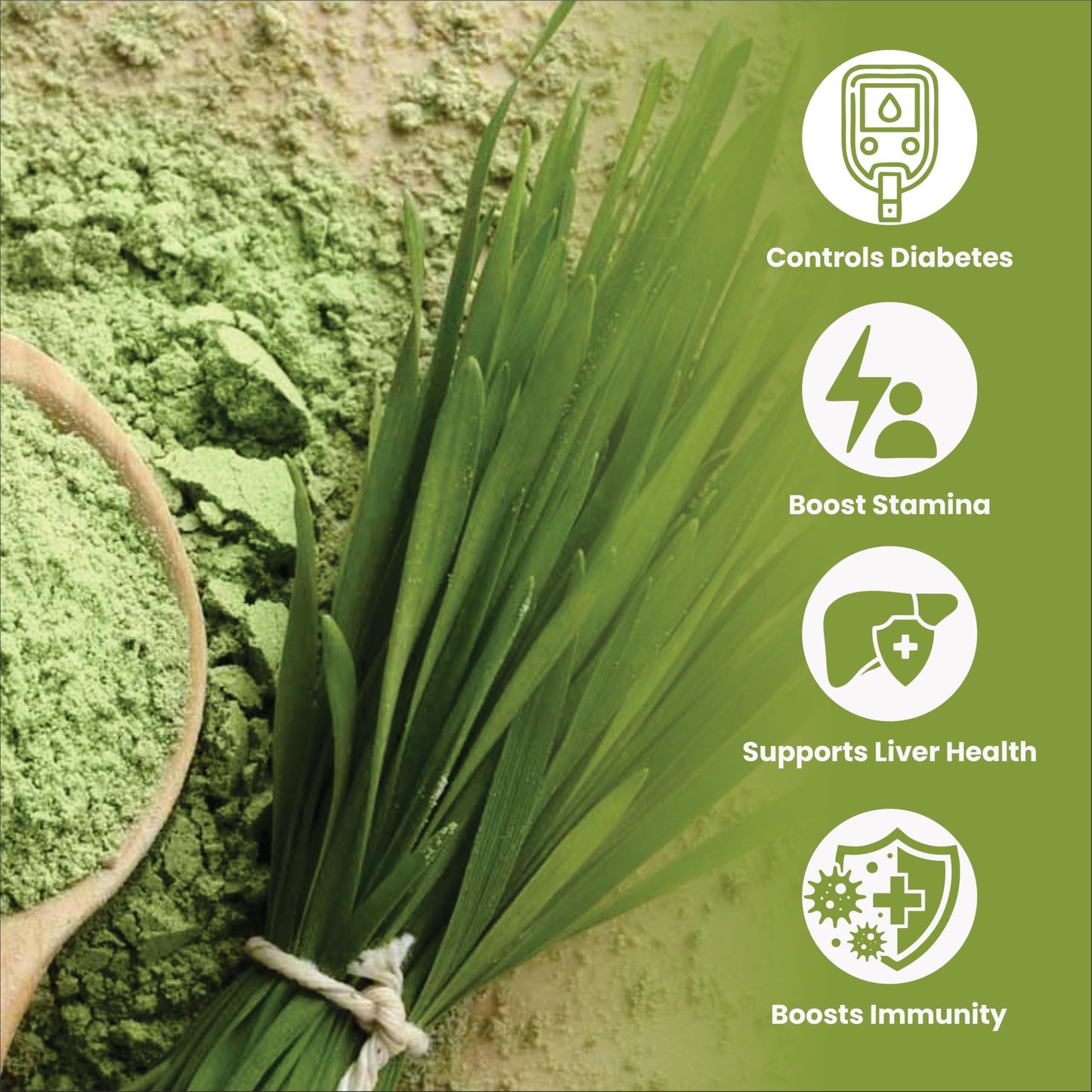 Smart Organics Wheatgrass Powder – 100% Organic – Superfood – Rich in Chlorophyll & Nutrients (100 g)