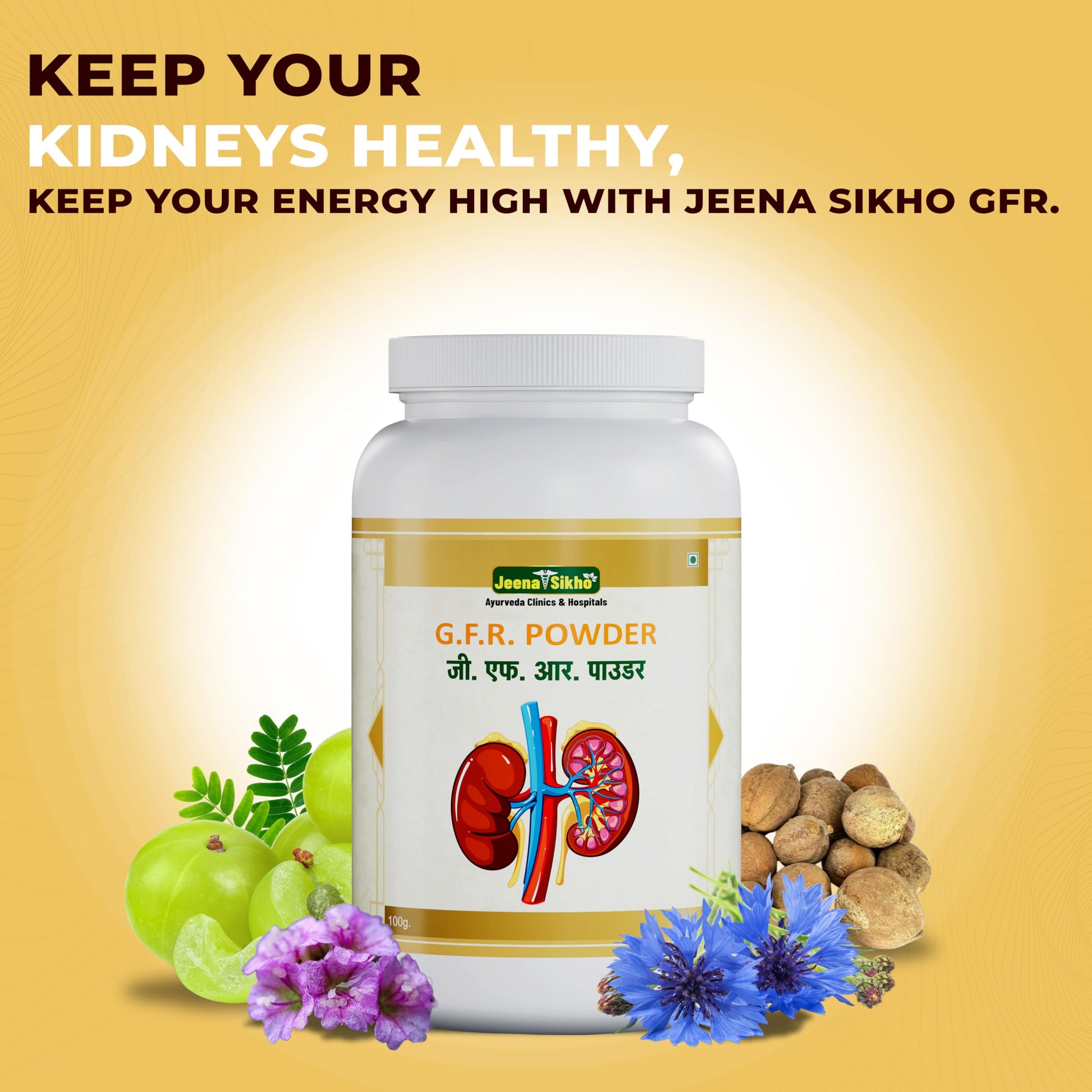 Jeena Sikho Gfr/Kidney Care Powder|Herbal Kidney Detox Powder|Naturally- image 5