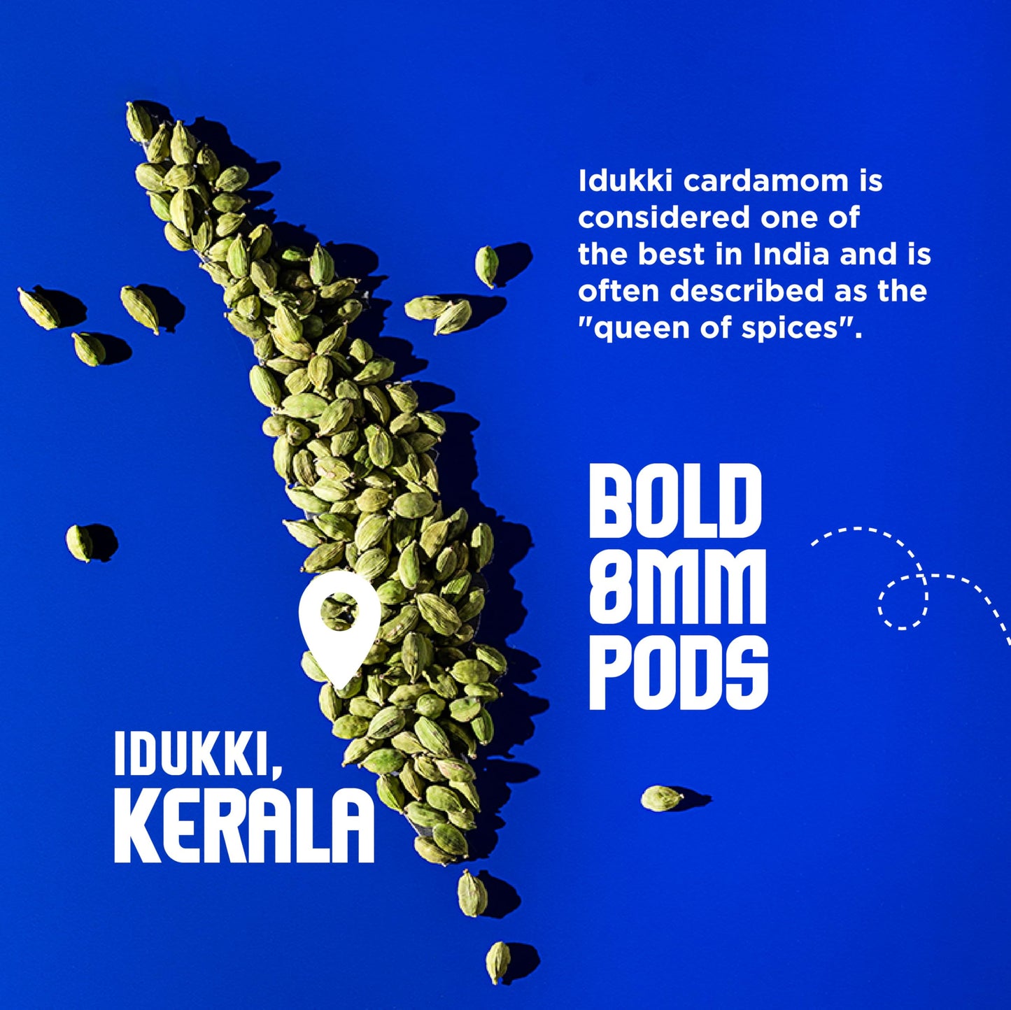 CRISTA 100gm Whole Green Cardamom | Elaichi | Elaichi Green | Choti Elaichi | Elaichi Tea | Cardamom 8mm