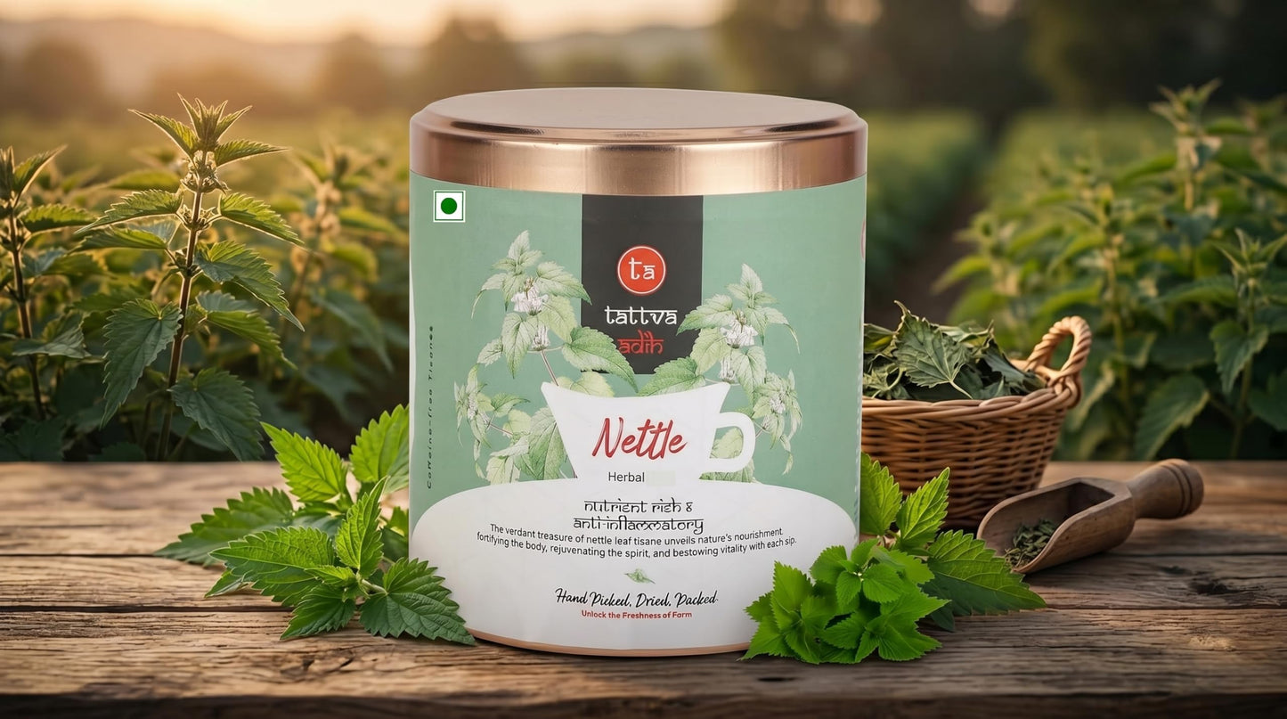 "Tattva Adih Himalayan Stinging Herbal Nettle Leaf Infusion | 50 grams, 30+ Cups I Brain Health, Hair Growth & Digestion | Caffeine-Free Nettle Leaves in Airtight Tin "