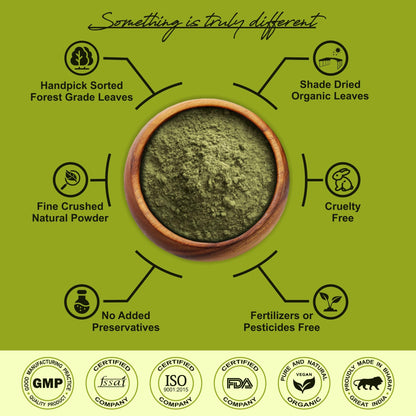 IYUSH Herbal Ayurveda Gudmar/Gurmar Powder - 100gm- image 2