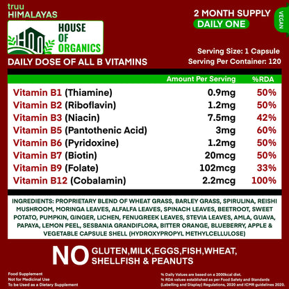 truu Himalayas Plant Based Vitamin B12 Supplement B1,B2,B3,B5,B6,B7,B9 2Months Organic Vit B-12 for Men & Women - Natural Ayurvedic Rasayana -Act. Inlife, Nerve, Hair & Skin Health -60 Vegan Capsules