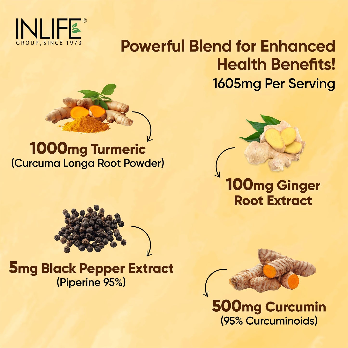 INLIFE Curcumin Tablets with Piperine | 95% Curcuminoids with Curcuma Longa Root Powder | Turmeric & Ginger Extract, 1605mg - 60 Tablets (Pack of 1)