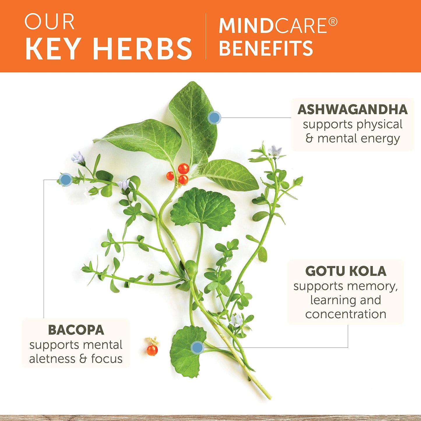 Himalaya Herbal Healthcare, MindCare, 60 Veggie Caps
