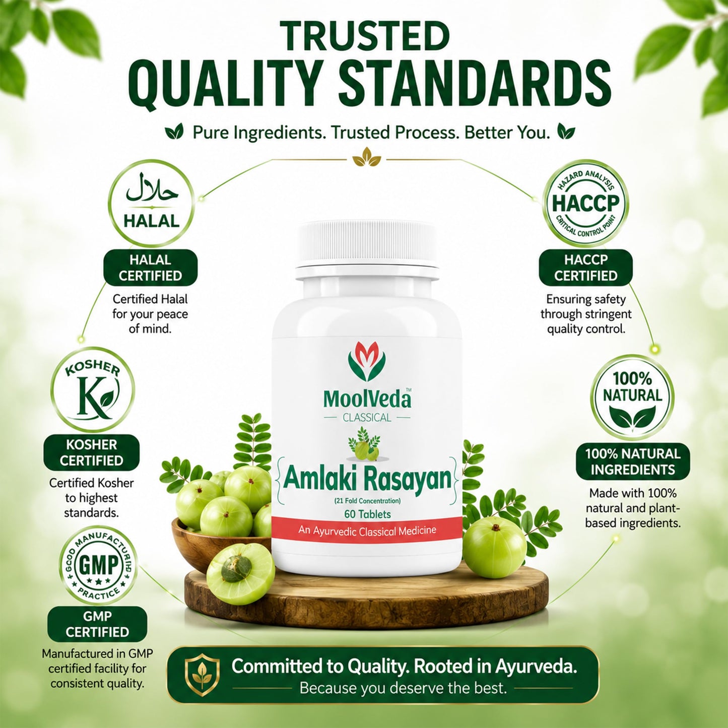 Moolveda Amalaki Rasayan Tablet for Daily Wellness & General Well-Being | 60 Veg Tablets