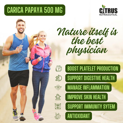 CITRUS NUTRACEUTICAL Carica Papaya Leaf Extract 500mg Capsules | Supports Platelet Health, Immunity & Energy | Natural Herbal Supplement with Papain | 60 Veg Capsules