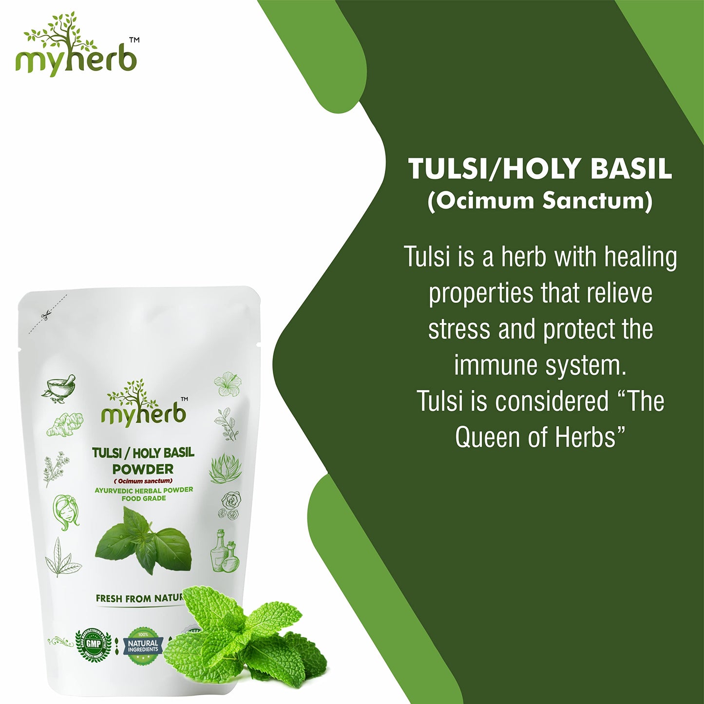 MYHERB 100% Natural Organic Tulsi Powder (Ocimum Sanctum) Holy Basil || 227 Gm/0.5 Lbs || Ayurvedic Powder || Boost Immunity, Metabolism || For Men & Women