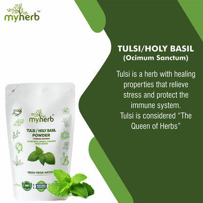 MYHERB 100% Natural Organic Tulsi Powder (Ocimum Sanctum) Holy Basil || 227 Gm/0.5 Lbs || Ayurvedic Powder || Boost Immunity, Metabolism || For Men & Women