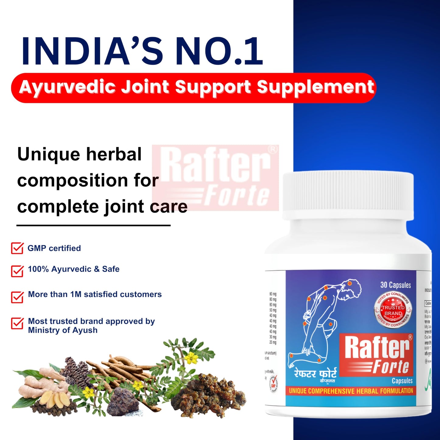 RAFTER FORTE Herbal Joint Support Capsules 500mg | Supports Joint Pain Relief & Mobility | 30 Capsules per Pack (Pack of 1)