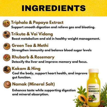PURRUSTIC Gut Purifix Ayurvedic Gut Cleanse, 11 Herbs Prebiotic Colon Detox Juice, Gut Detox & Digestion Support, Boosts Metabolism & Immunity, Tackles Bloating, Gas & Constipation (6 days, 6 Bottle)