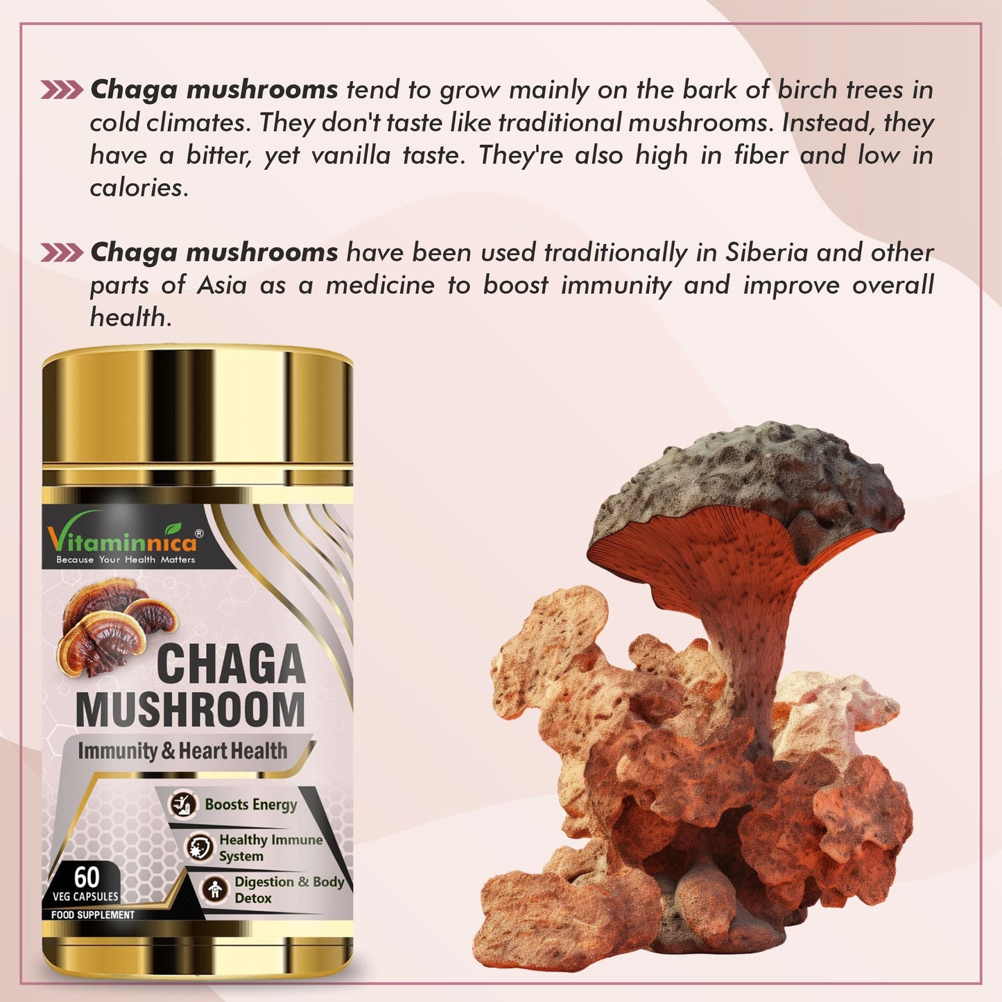 Vitaminnica Chaga Mushroom- 60 Capsules | Natural Antioxidant Support for Immune System