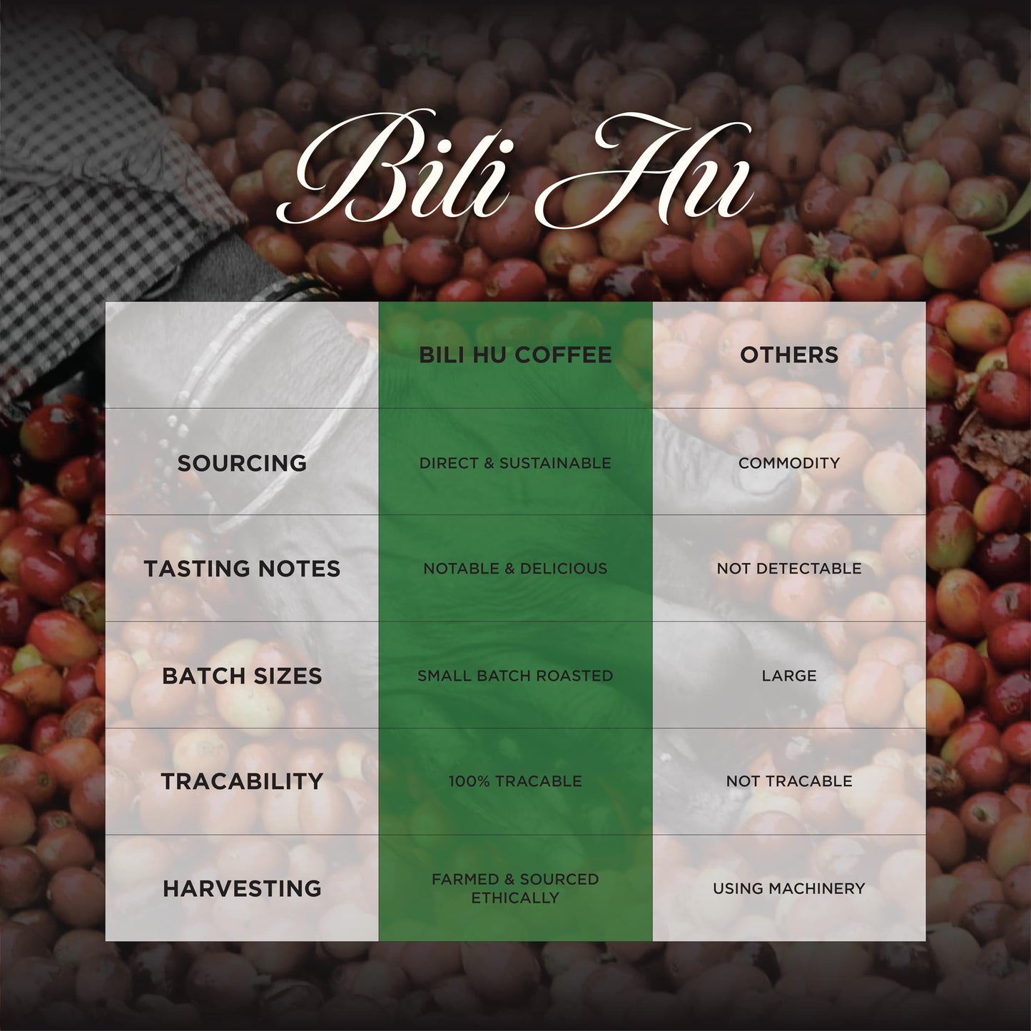 Bili Hu Coffee, Mokapot Grind Arabica Coffee Aghora Estate, Medium Roast, (Pack of 1, 250 Gram)