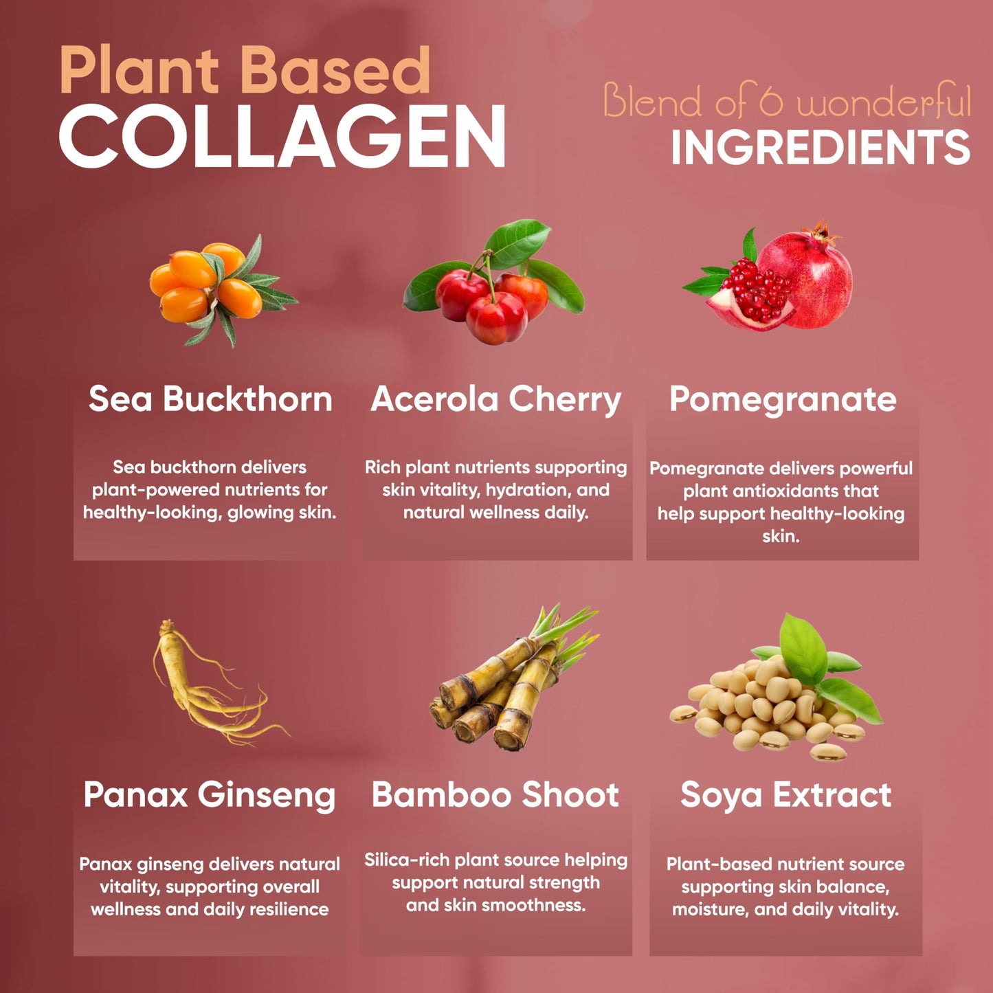 Vitaminnica Plant Based Collagen - Skin, Hair, Nails, Bones & Joints - 60 Capsules