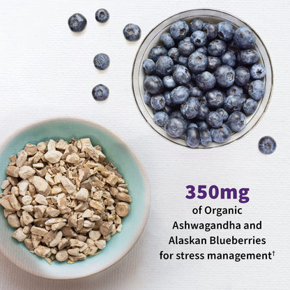 Garden of Life Probiotic and Mood Supplement - Dr. Formulated Mood+ for- image 5