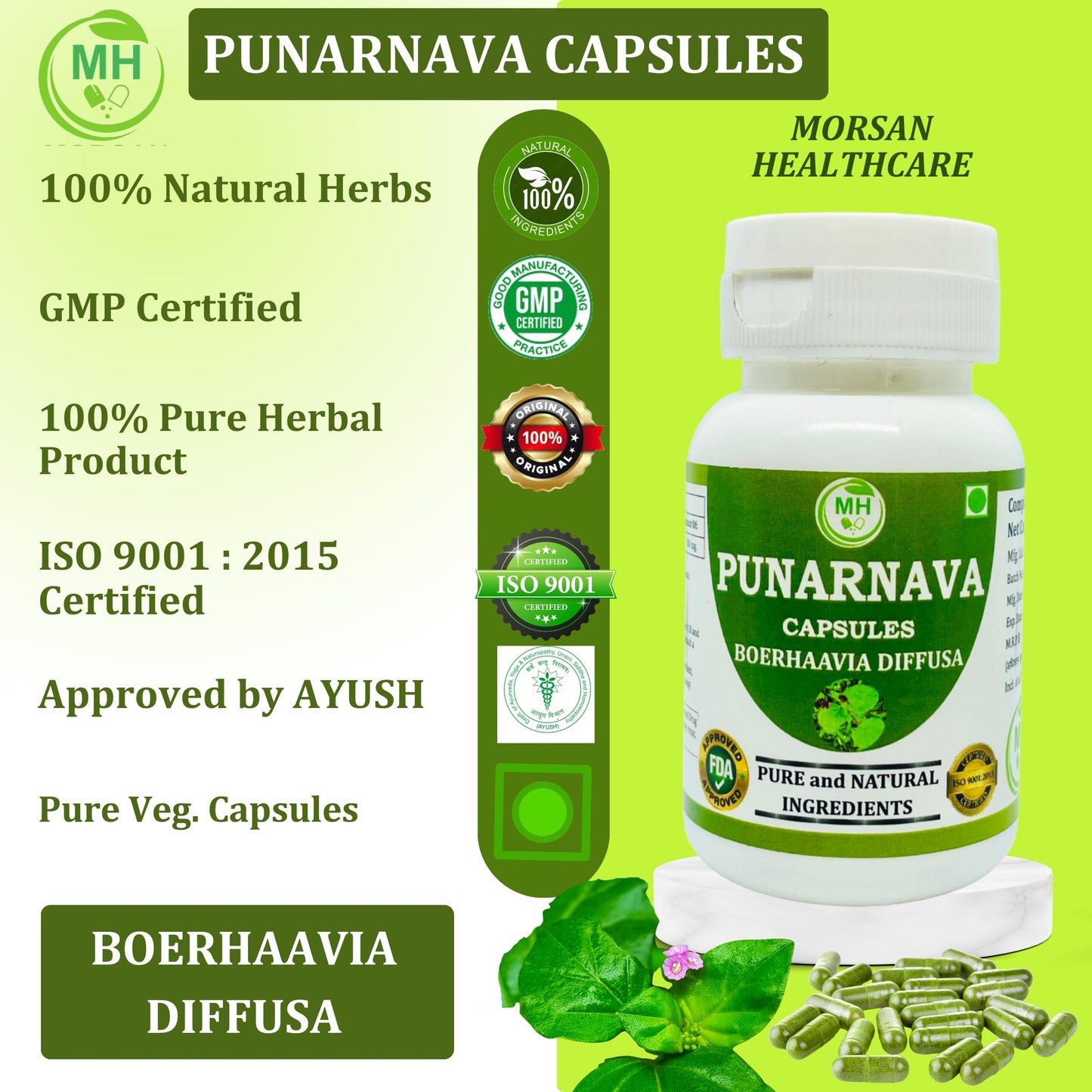 Morsan's Punarnava (Boerhaavia diffusa) Capsules | Pack of 60 x 500 mg Veg. Capsules