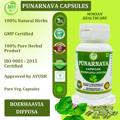 Morsan's Punarnava (Boerhaavia diffusa) Capsules | Pack of 60 x 500 mg Veg. Capsules