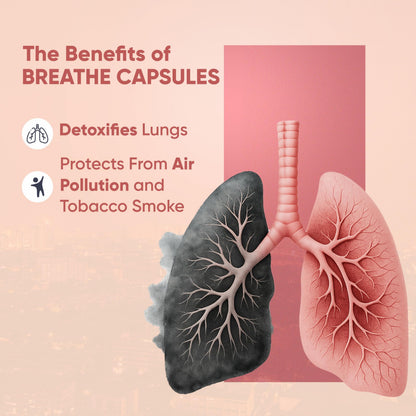 Vitaminnica Vita Breathe- Lungs Support | Cleanse and Detoxify Lungs | Reduces Damage from Smoking, Pollution, Improves Lung Health | 60 Veg Capsules | Better Respiratory Health