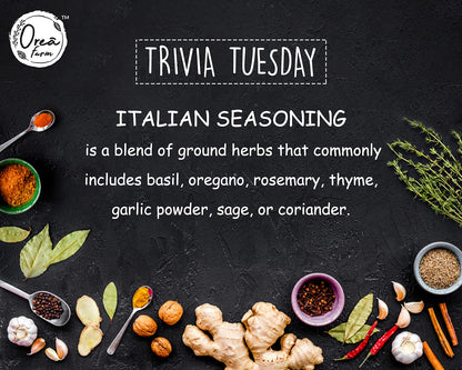 Orea Farm Italian Allspice Seasoning, 75gm, Aromatic Herb & Spice Mix for Pasta, Pizza, Salads & Continental Dishes