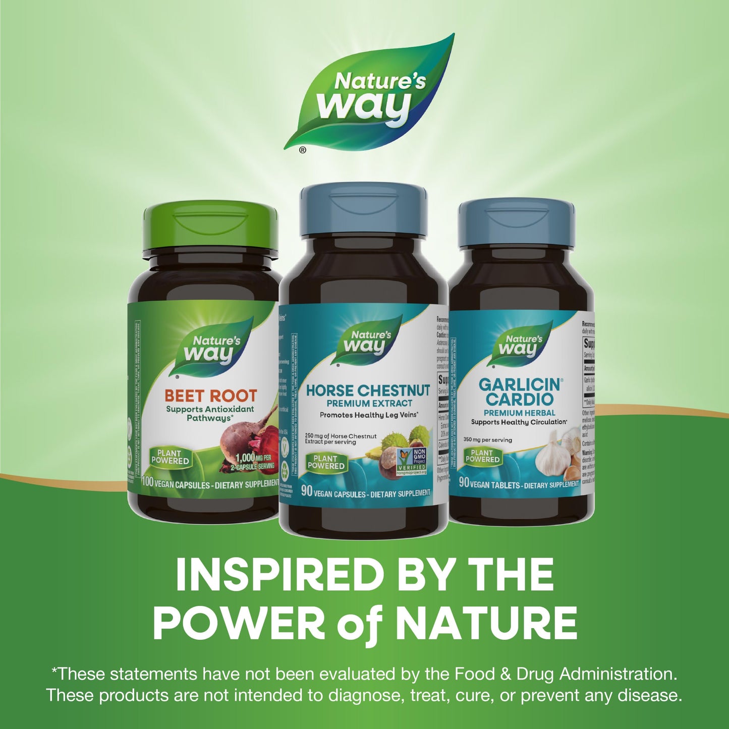 Nature's Way Horsechestnut Standardized Extract- image 2