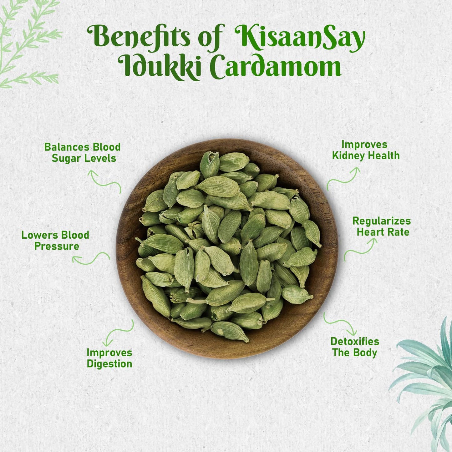 KisaanSay Idukki Cardamom 50 gm Bold Size (7 to 8 mm) | Bold Size | Pure Elaichi | Natural | Distinctive Flavour & Aroma | No Artificial Colors