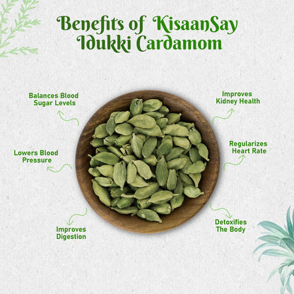 KisaanSay Idukki Cardamom 100 gm | Bold Size (7 to 8 mm) | Natural Elaichi | Distinctive Flavour & Aroma | No Artificial Colors | elaichi green
