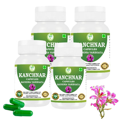 MORSAN HEALTHCARE | Kanchnar Capsules 500mg – 60 Count | 4 Pack | Vegetarian | Plant-Based | Herbal Supplement | No Artificial Additives | Gluten-Free | Organic |