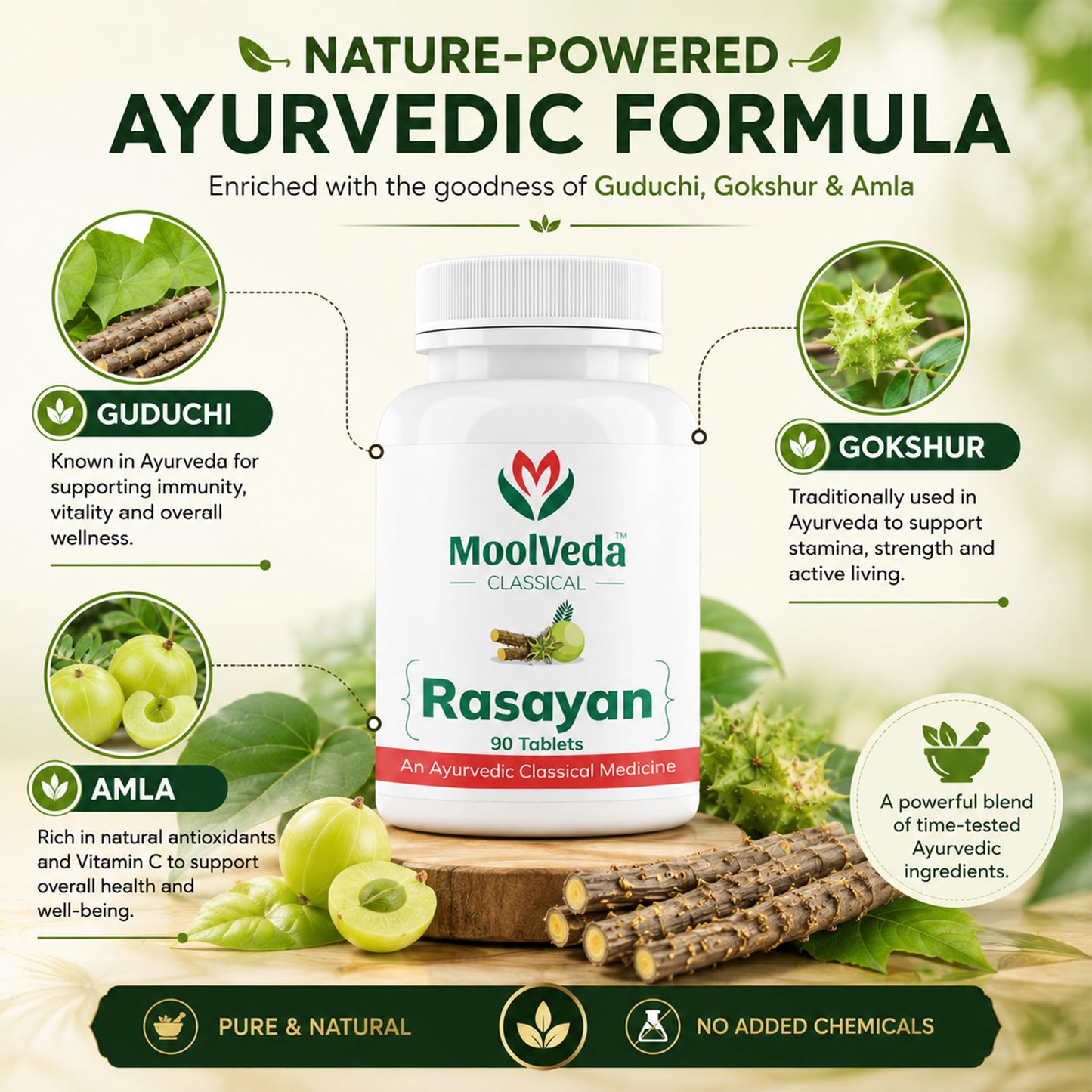 Moolveda Rasayan 90 Veg Tablets (Pack of 2)