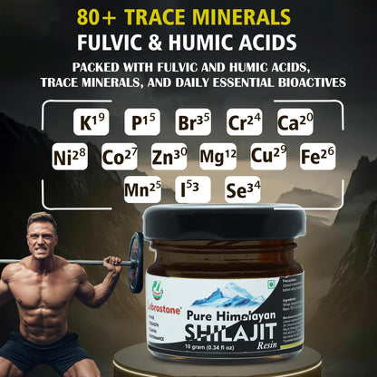 Lebrostone Pure Himalayan Shilajit Resin – | Natural Energy Booster | Enhances Strength, Stamina & Performance (10 g (pack of 1))