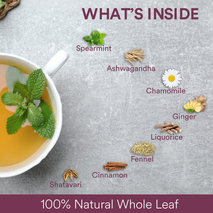 The Tea Ark Spearmint Tea For her Pcos Pcod, Herbal Powder Tea For Women With (Shatavari & Fennel) Caffeine Free, Hormonal Balance, Reduce Unwanted Hair, Clear Acne (50 Cups),100 Grams (Pouch)
