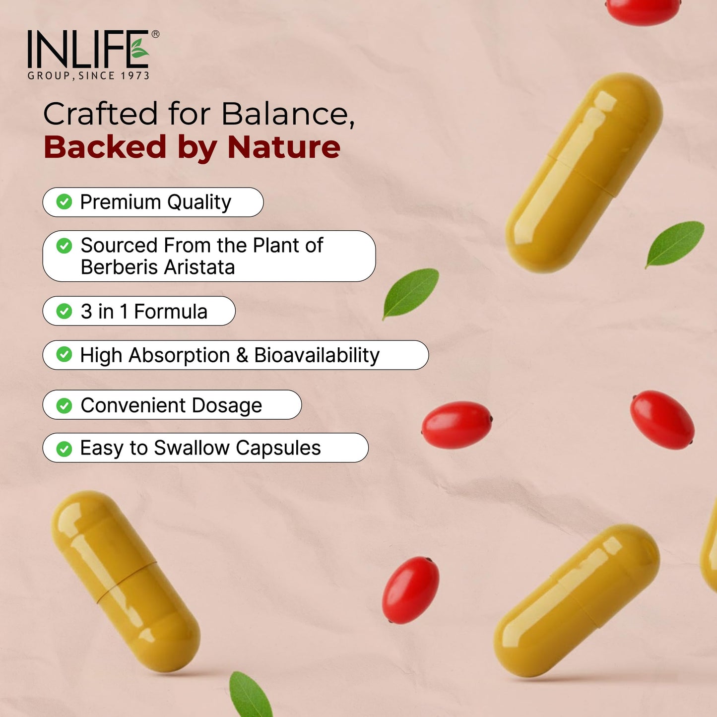 INLIFE Berberine HCL 500mg with Milk Thistle, Natural Supplement, Blood Sugar Support & Liver Health, Men Women, 60 Veg Capsules (Pack of 1, 60)