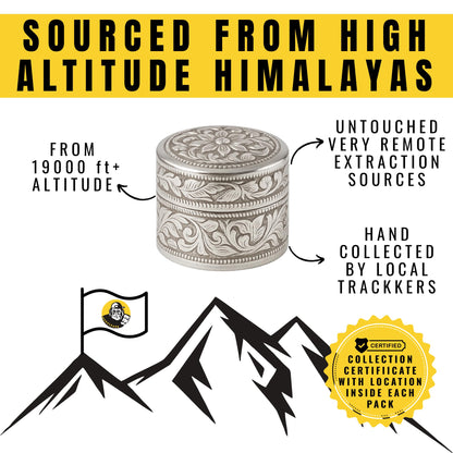 Muscleape Pure Himalayan Shilajit Resin (5 g) in Pure Silver Container | Enriched with Ashwagandha, Tribulus & 12+ Ayurvedic Herbs | 24K Gold Infused | Energy, Strength, Immunity & Vitality Support