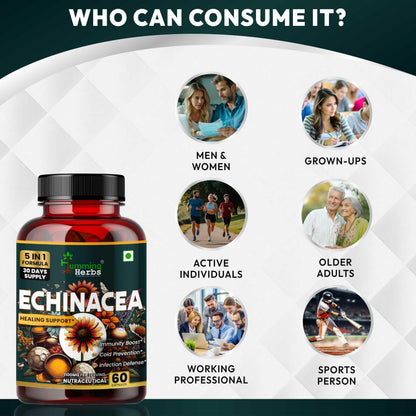 Humming Herbs Echinacea 1200mg with Elderberry & Bee Propolis - Immune Support Complex for Cold Prevention & Healing - Antioxidant, Immunity Boosting & Defense From Infection