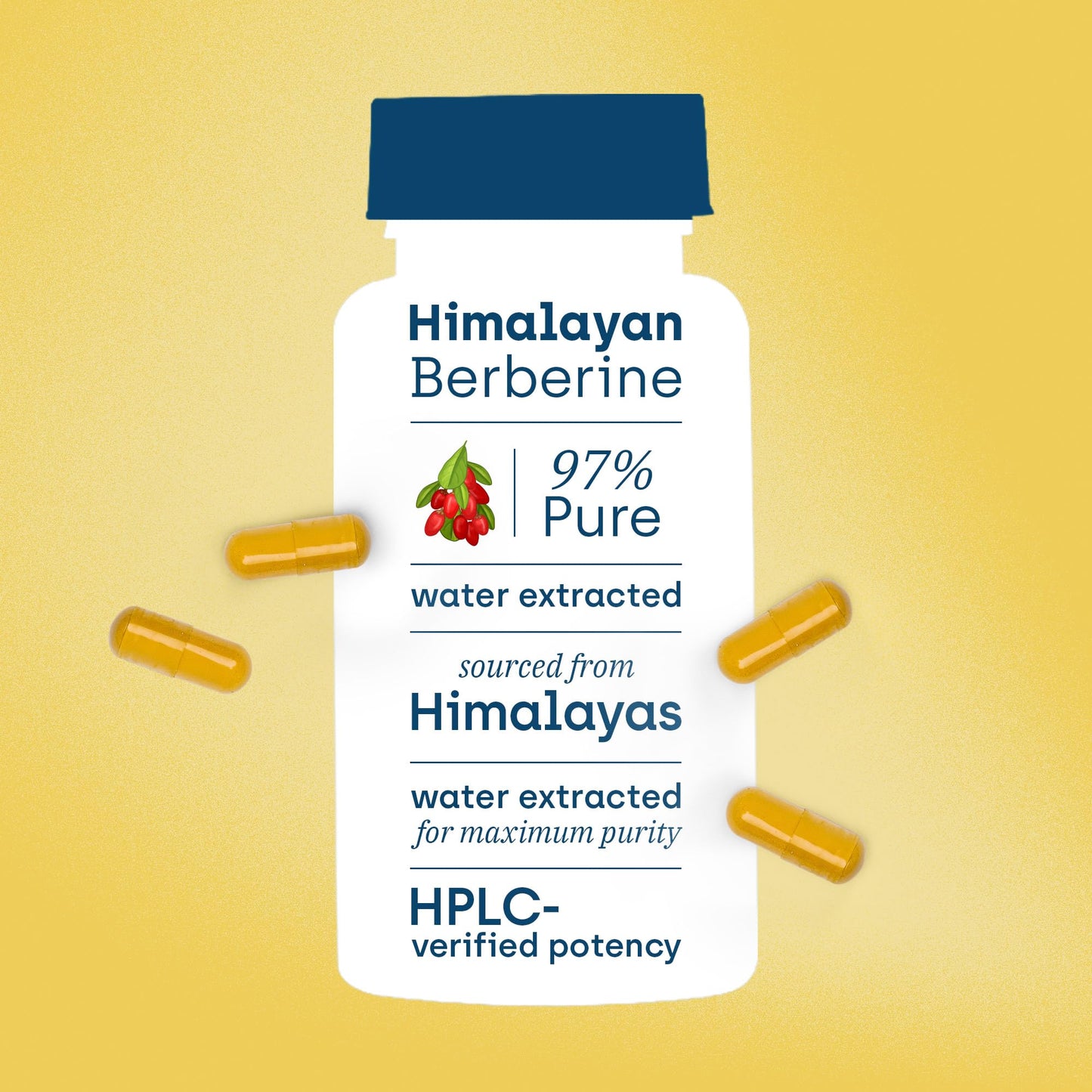Premium Berberine Supplement with Milk Thistle – 97% Pure Berberine HCL from Himalayas – 3rd Party Lab Verified – Supports Healthy Blood Sugar, Metabolism & PCOS Wellness – 1200mg Per Serving