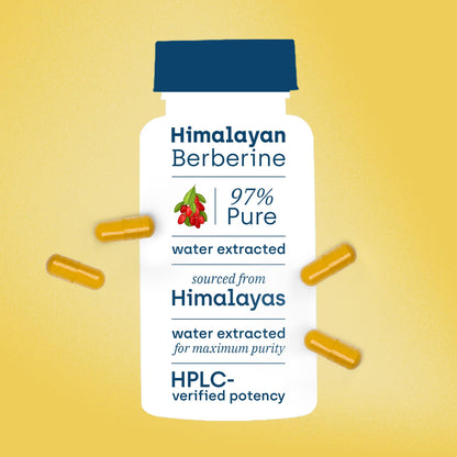 Premium Berberine Supplement with Milk Thistle – 97% Pure Berberine HCL from Himalayas – 3rd Party Lab Verified – Supports Healthy Blood Sugar, Metabolism & PCOS Wellness – 1200mg Per Serving