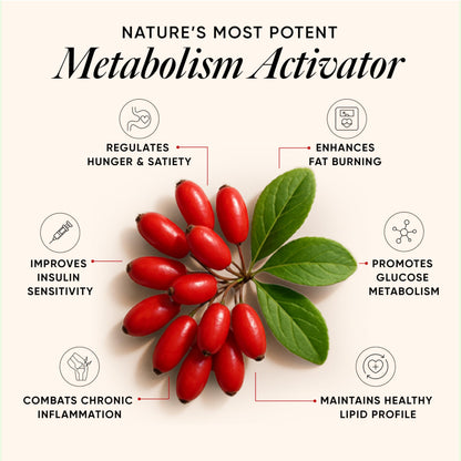 Wellbeing Nutrition Slow Liposomal Berberine HCL+ 1100mg with Karela, Cinnamon, Gymnema, Chromium |For Metabolism, Hormonal Balance, Healthy Blood Sugar & Cholesterol Levels | 60 Veg Capsules