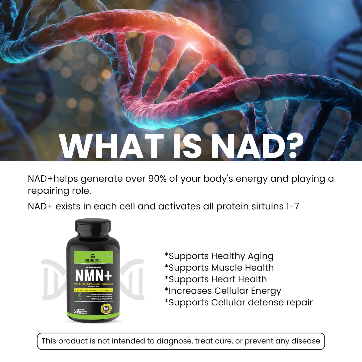 GREENDORSE NMN 99.9% Pure with Apigenin, Trans- resveratrol & Quercetin 3 IN 1 Supplement | High Bioavailability, Natural, 3rd Party Lab Tested Ultra Pure by HPLC | Boosts NAD+, Slow Down Aging, Cellular Repair, Muscle Strength, Heart health | - 60 Veg Ca
