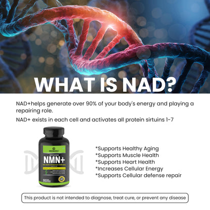 GREENDORSE NMN 99.9% Pure with Apigenin, Trans- resveratrol & Quercetin 3 IN 1 Supplement | High Bioavailability, Natural, 3rd Party Lab Tested Ultra Pure by HPLC | Boosts NAD+, Slow Down Aging, Cellular Repair, Muscle Strength, Heart health | - 60 Veg Ca