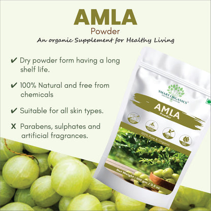 Smart Organics Amla Seedless Powder | Pure and Natural Indian Gooseberry Powder | Rich in Vitamin C & Antioxidants No Additives | Supports Hair, Skin and Immunity (100g)