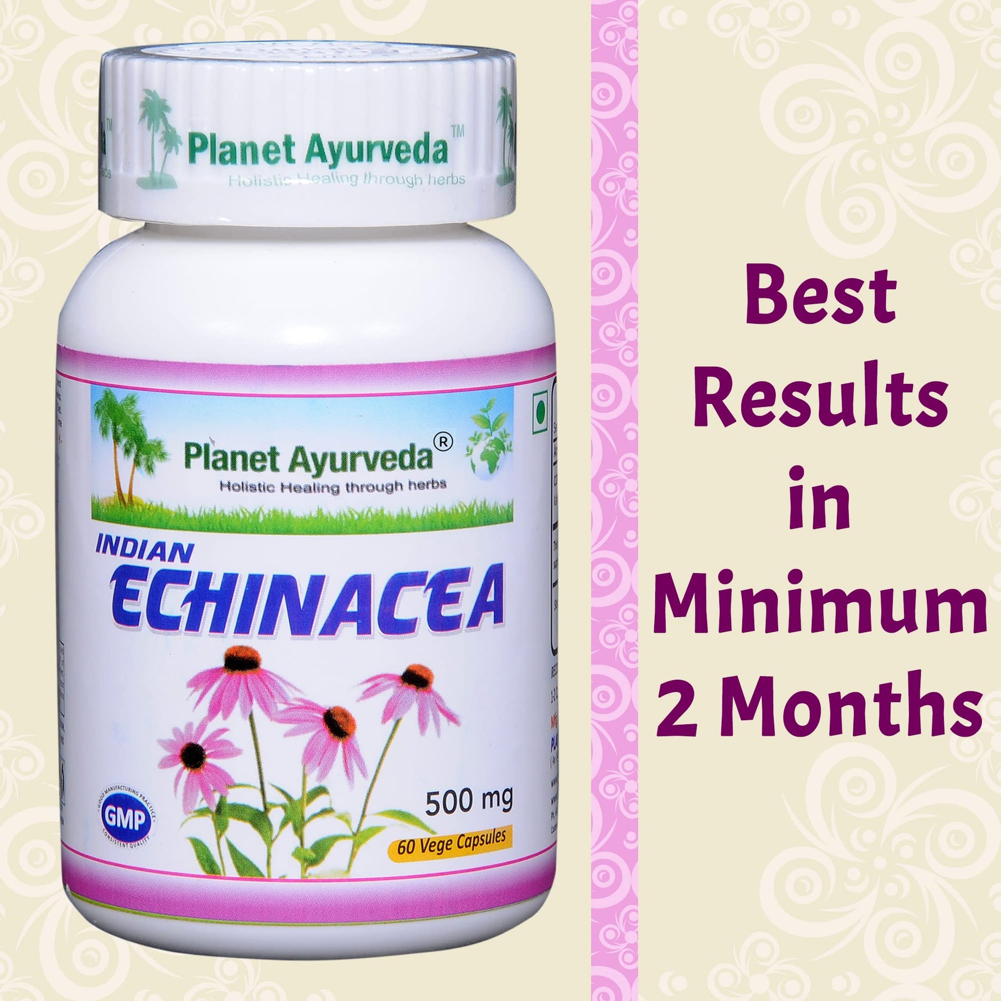 Planet Ayurveda Indian Echinacea Capsules - 60 Capsules | Removes Liver- image 5