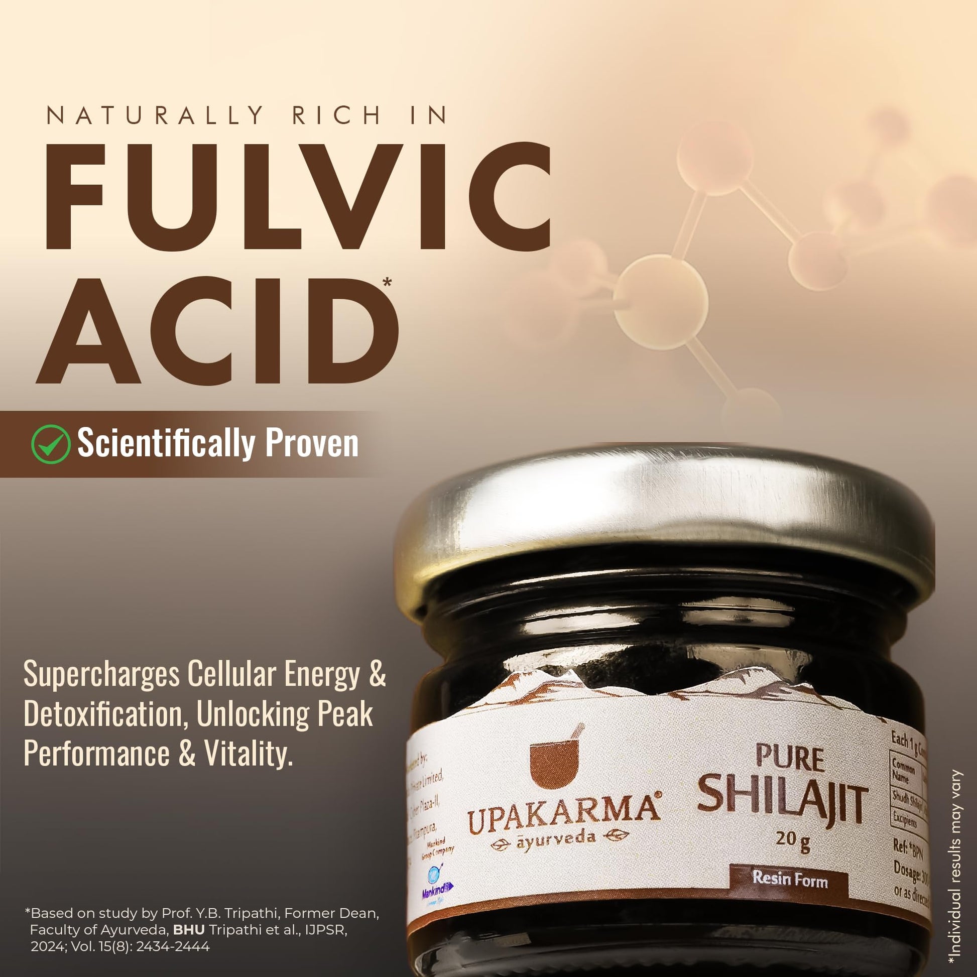 UPAKARMA Ayurveda Shilajit/Shilajeet Resin Form 15g - Pack of 2- image 8